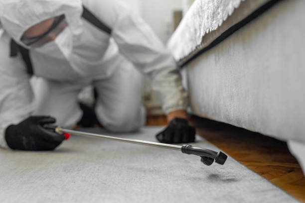 Professional Pest Control technician working in Poipu, HI
