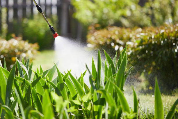 24/7 Emergency Fumigation Services experts in Poipu, HI