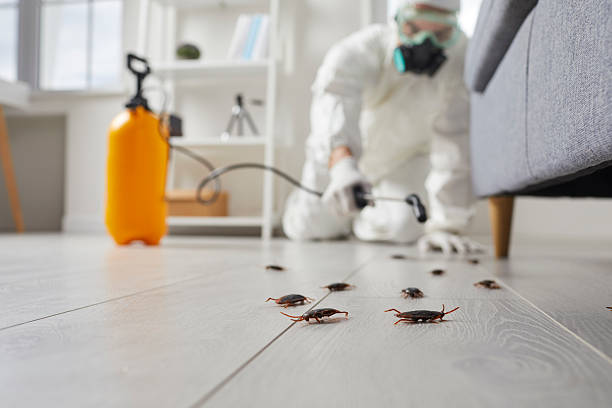Trusted Fumigation Services service in Poipu, HI - Nex Pest Control